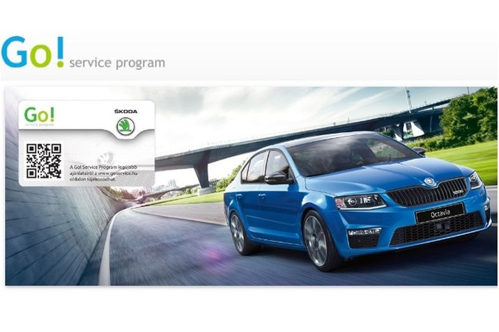 go service program